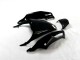 Kit Carenatura Moto Completa Kawasaki ZX14R ZZR 1400 12-21 - Nero Verde Kit Carenatura Moto Completa Kawasaki ZX14R ZZR 1400 12-21 - Nero Verde
